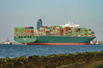Containerschip de Thalassa Mana. van Jaap van den Berg