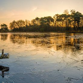 Sunrise by Rene Wolf