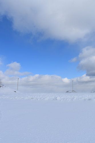 Een besneeuwd veld onder een blauwe hemel