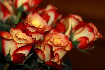 Rode rozen  van Jolanta Mayerberg