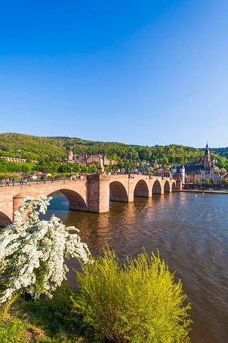 Oude brug en kasteel in Heidelberg