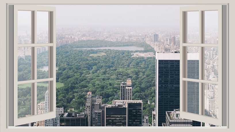 New York view von Co Seijn