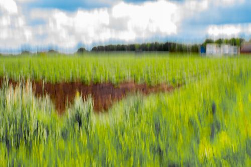 La photo de l'ICM : une vision différente du paysage