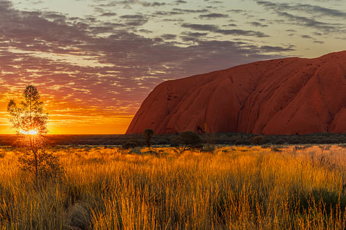 Sunrise at Uluru