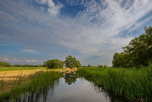 Het landschap van natuurgebied Weerribben-Wieden 