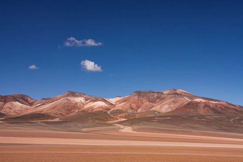 Salvador Dali Woestijn in Bolivia van Erwin Blekkenhorst