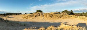 Panorama Drents-Friese Wold