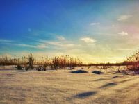 fresh snow