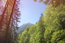 Alpenlandschaft von Bo Valentino