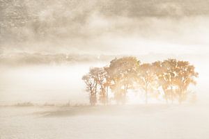 Rêves d'automne, John Fan sur 1x