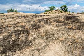 Kootwijkerzand by Paul van Putten