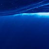 Sonnenkranz mit Wildwasser nach Schnellboot von Eric van Riet Paap