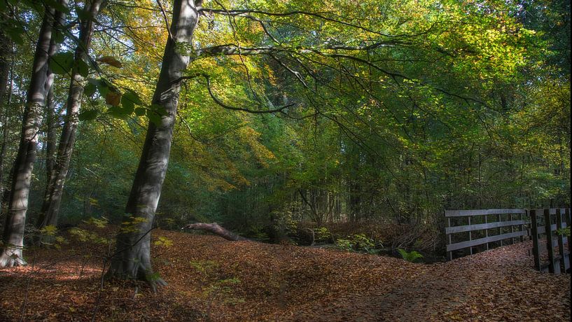 Waterloopbos von Dries van Assen