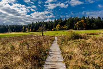 Autumn hike through the Thuringian Forest by Oliver Hlavaty