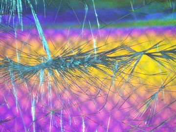 Spikes von Joop de Wolde