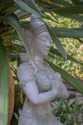 Prière cachée dans la verdure