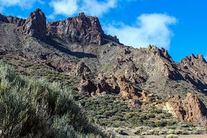 Landschaft auf Teneriffa im Teide National Park