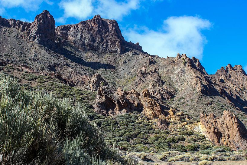 Landschaft auf Teneriffa im Teide National Park von Reiner Conrad