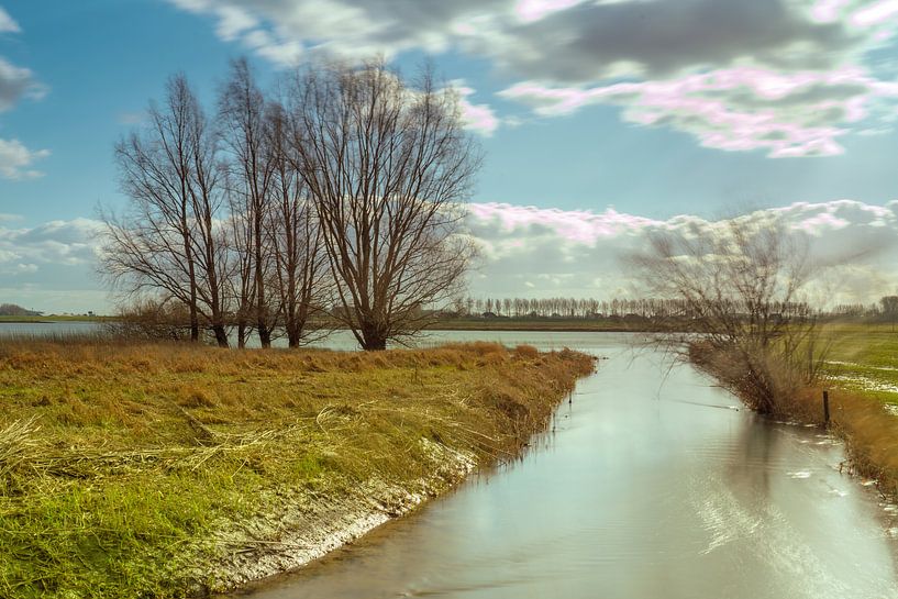 Uiterwaarden bij de Waal par Patrick de Vleeschauwer