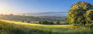 Dimanche matin dans le Limbourg