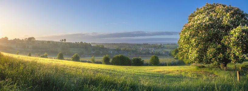 Dimanche matin dans le Limbourg par Ton Drijfhamer