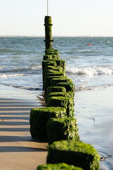Golfbrekers in de Westerschelde bij strand Vlissingen
