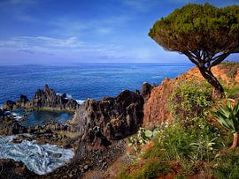 The coast of Madeira 1