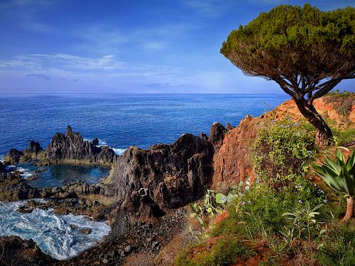 De kust van Madeira 1