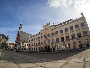 Theater en stadhuis van Zwickau in Saksen van Animaflora PicsStock