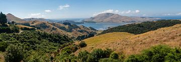 Panoramisch uitzicht over de heuvels van Otago peninsula van Niek
