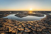 De Friese waddenkust van lars Bosch thumbnail