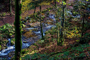 Herbst im Schwarzwald