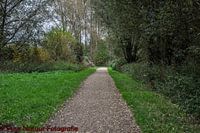 le chemin vers l'inconnu