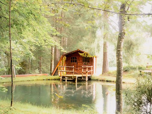 hut in het woud van Dietjee FoTo