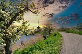 Droomvlucht von Tina Linssen