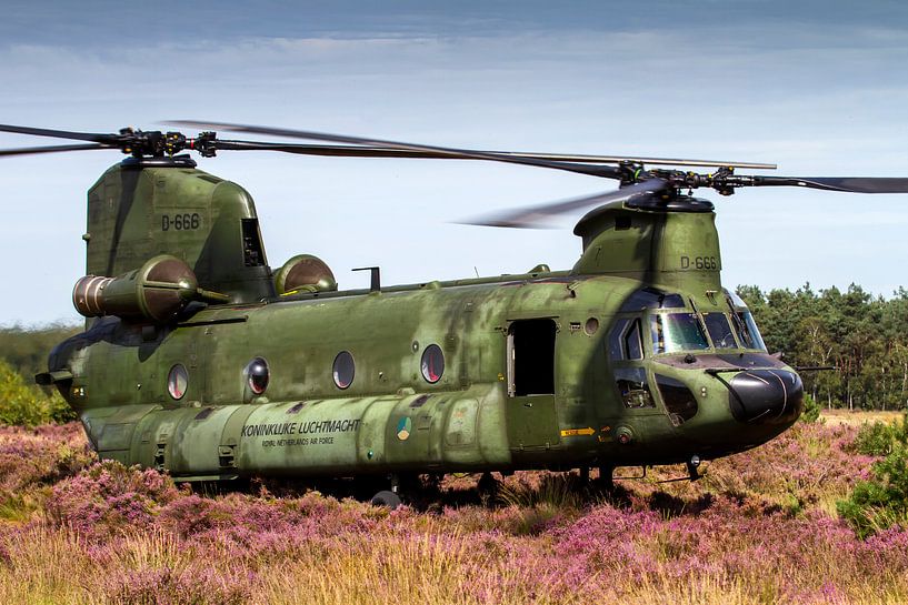 Chinook op de Oirschotse heide van Jeffrey Schaefer