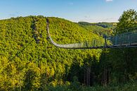 Geierlay suspension bridge by Henk Meijer Photography thumbnail