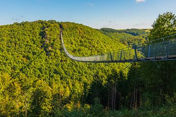 Geierlay suspension bridge by Henk Meijer Photography