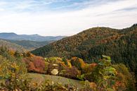The Vosges mountains by Wim Slootweg thumbnail