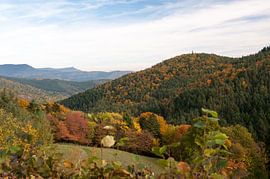 Le massif des Vosges sur Wim Slootweg