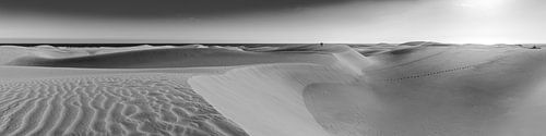 Duinen bij Maspalomas op het eiland Gran Canaria in zwart-wit