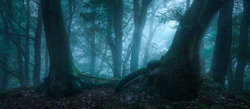 Mysterious Conversations by Jeroen Lagerwerf