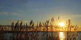 Winter sun by Ostsee Bilder