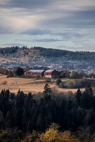 The idyllic, picturesque countryside just outside the Norwegian city of Trondheim, surrounded by mountains and nature.