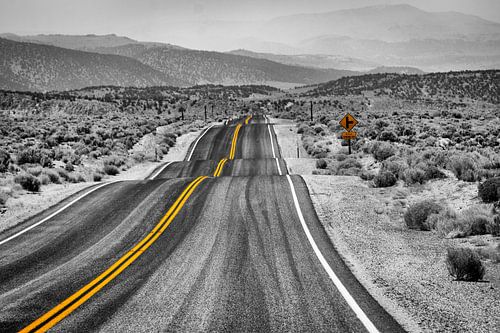 the double yellow line in the middle of the road