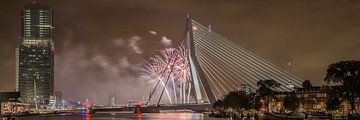 Rotterdam Erasmus Bridge WHD 2015 #3 by John Ouwens