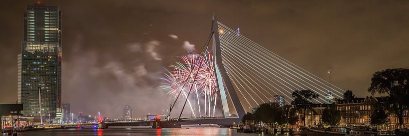 Rotterdam Pont Erasmus WHD 2015 #3 par John Ouwens