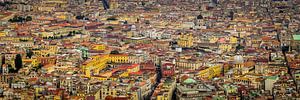 Naples, view from Castel Sant 'Elmo