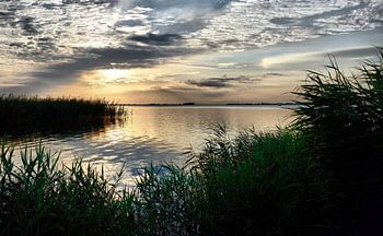 De stilte van de ochtend.