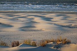 Windlijnen van Krista Zuur
